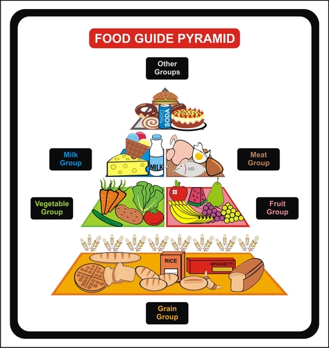 Food Pyramid